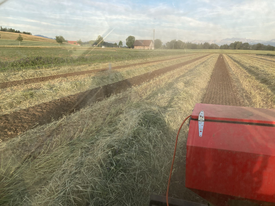 2022 Mosaik-Landwirtschaft 1.0