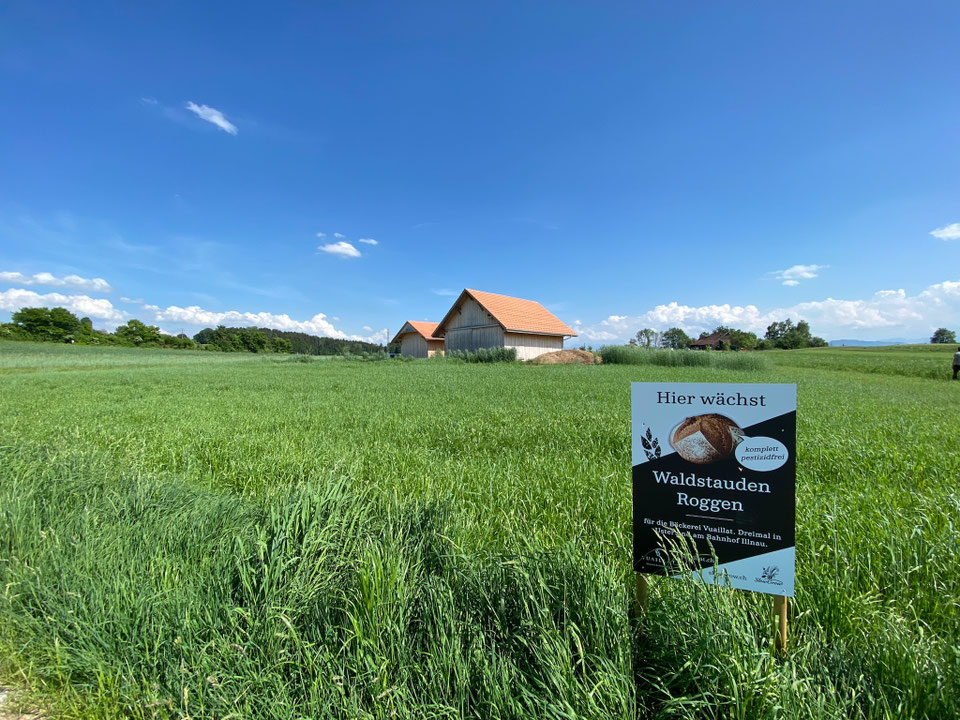 2022 Mosaik-Landwirtschaft 1.0